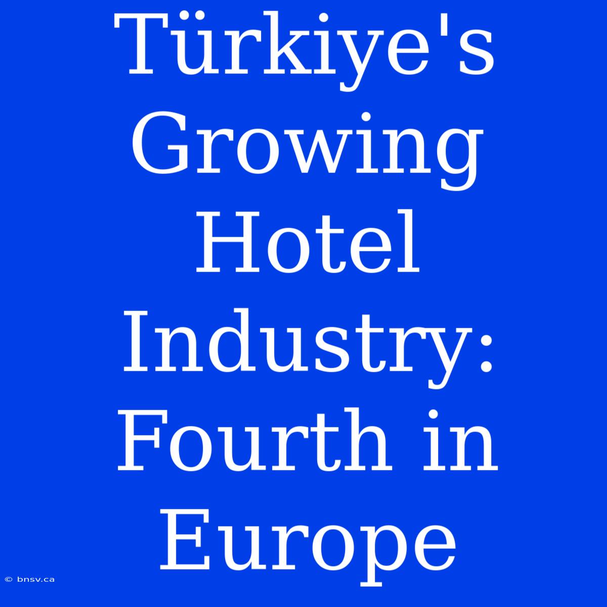 Türkiye's Growing Hotel Industry: Fourth In Europe