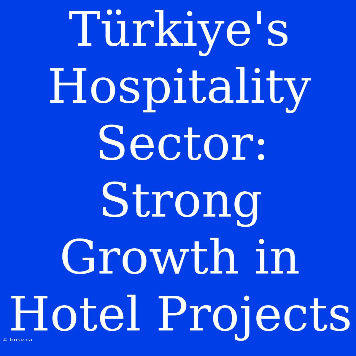 Türkiye's Hospitality Sector: Strong Growth In Hotel Projects