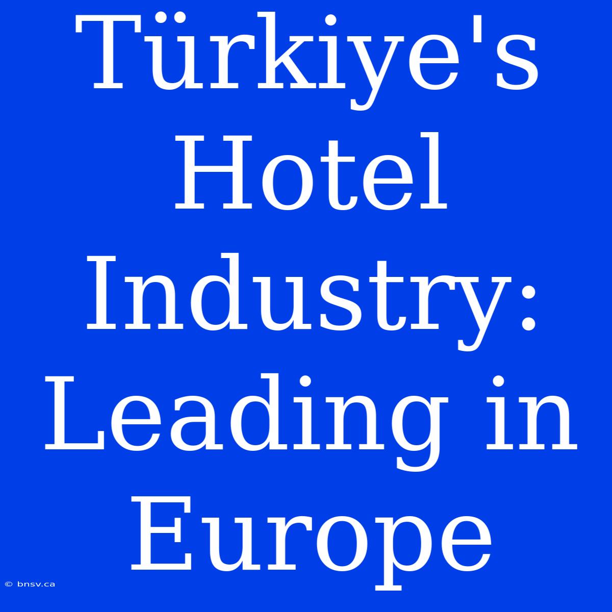 Türkiye's Hotel Industry: Leading In Europe