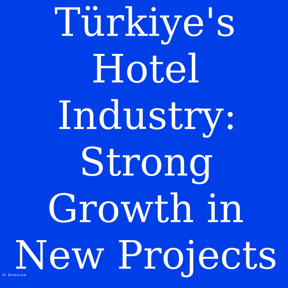 Türkiye's Hotel Industry: Strong Growth In New Projects