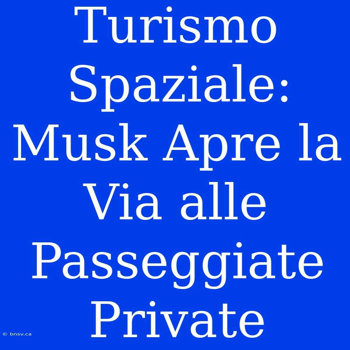 Turismo Spaziale: Musk Apre La Via Alle Passeggiate Private