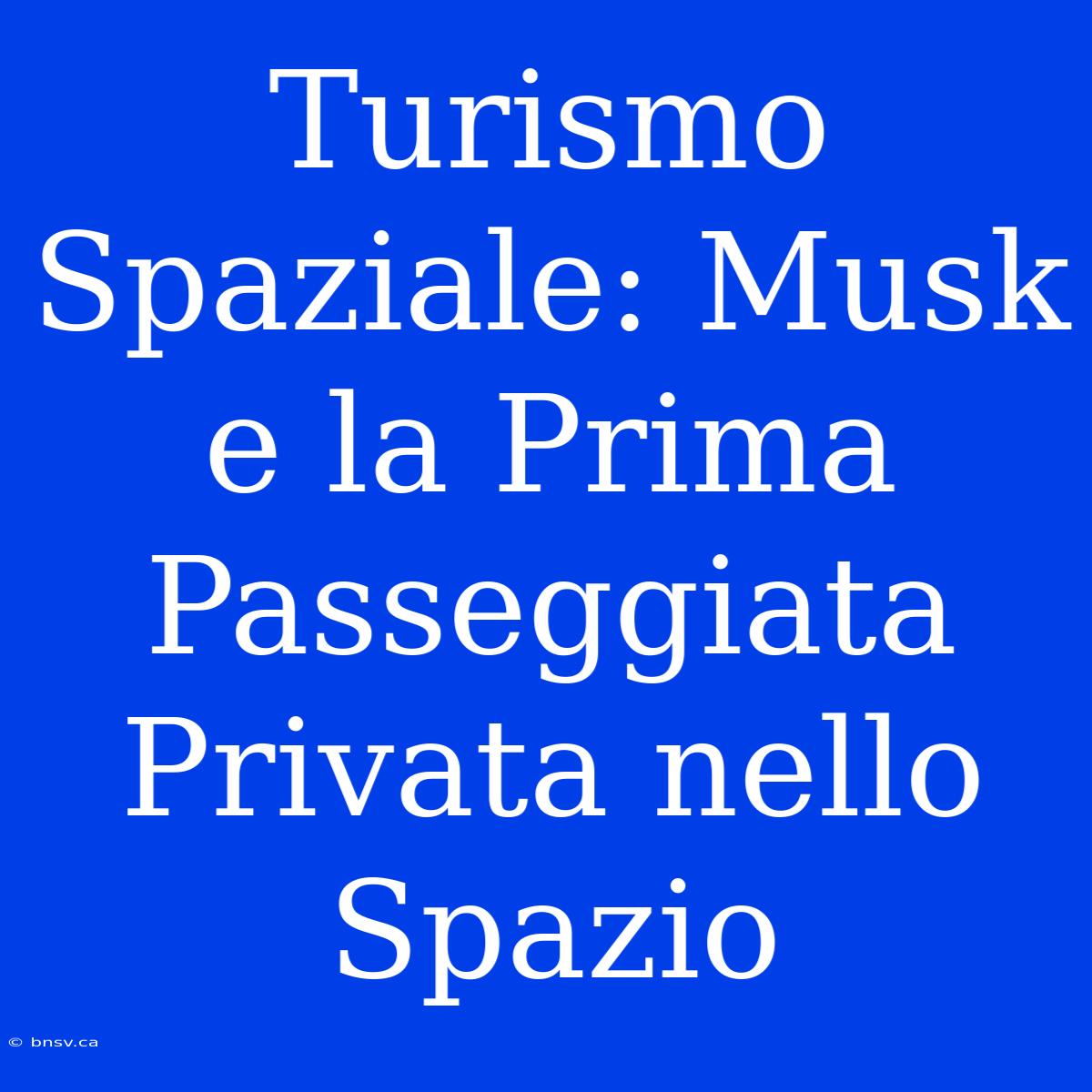 Turismo Spaziale: Musk E La Prima Passeggiata Privata Nello Spazio