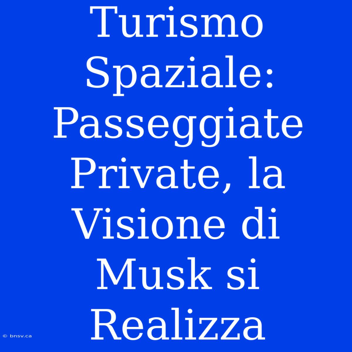 Turismo Spaziale: Passeggiate Private, La Visione Di Musk Si Realizza