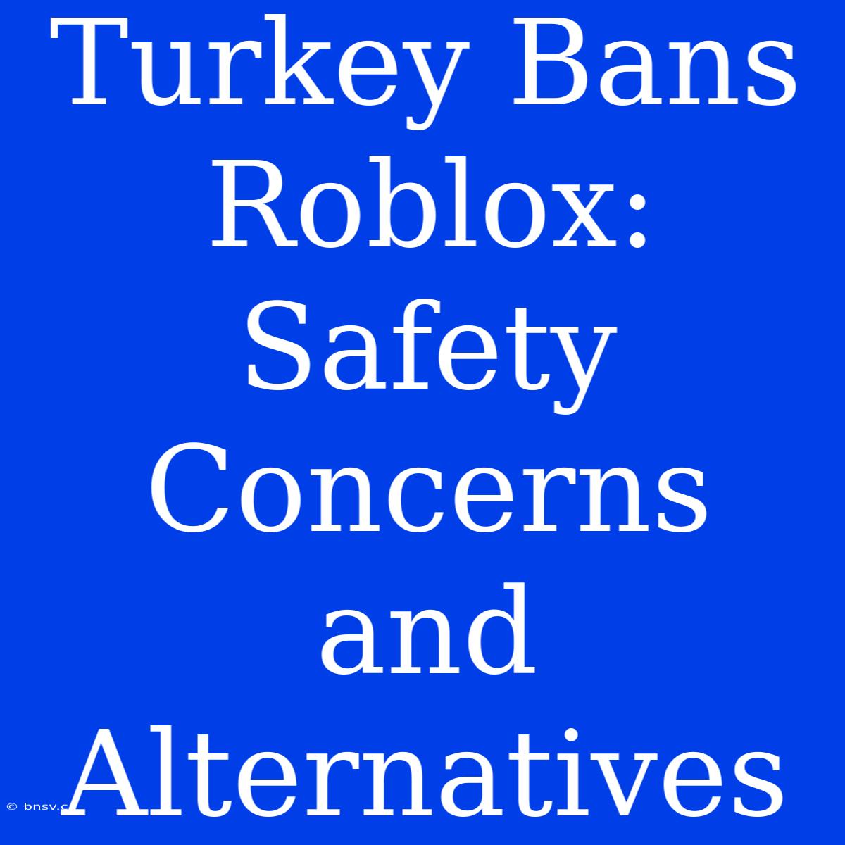 Turkey Bans Roblox: Safety Concerns And Alternatives