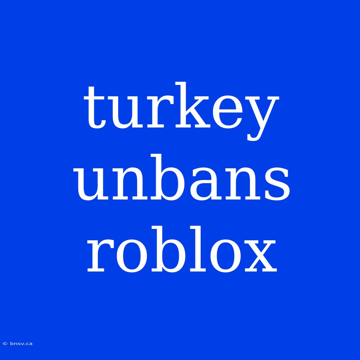 Turkey Unbans Roblox