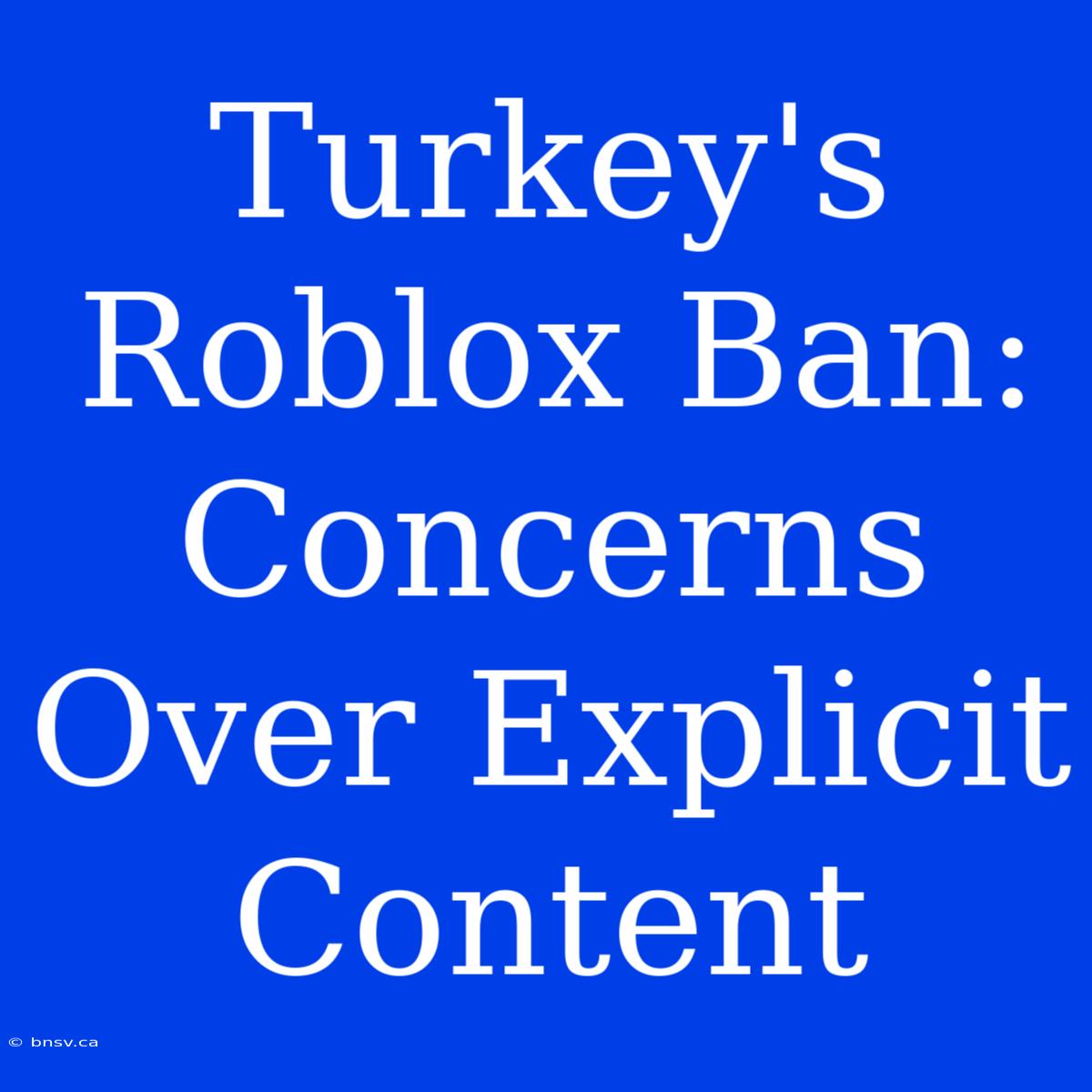 Turkey's Roblox Ban: Concerns Over Explicit Content