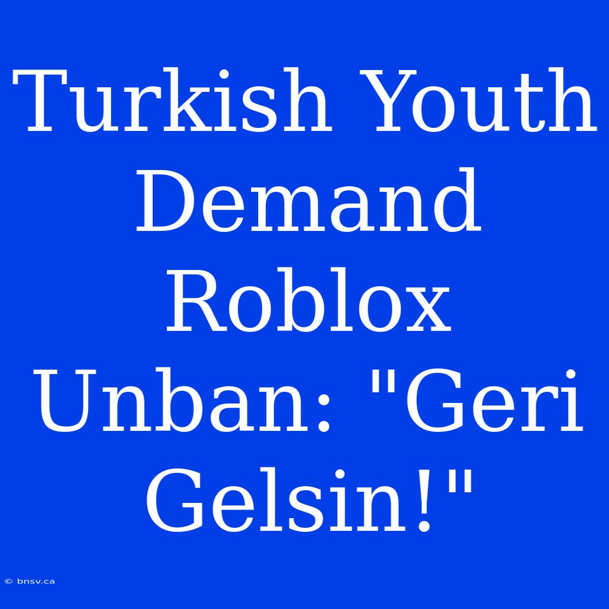 Turkish Youth Demand Roblox Unban: 