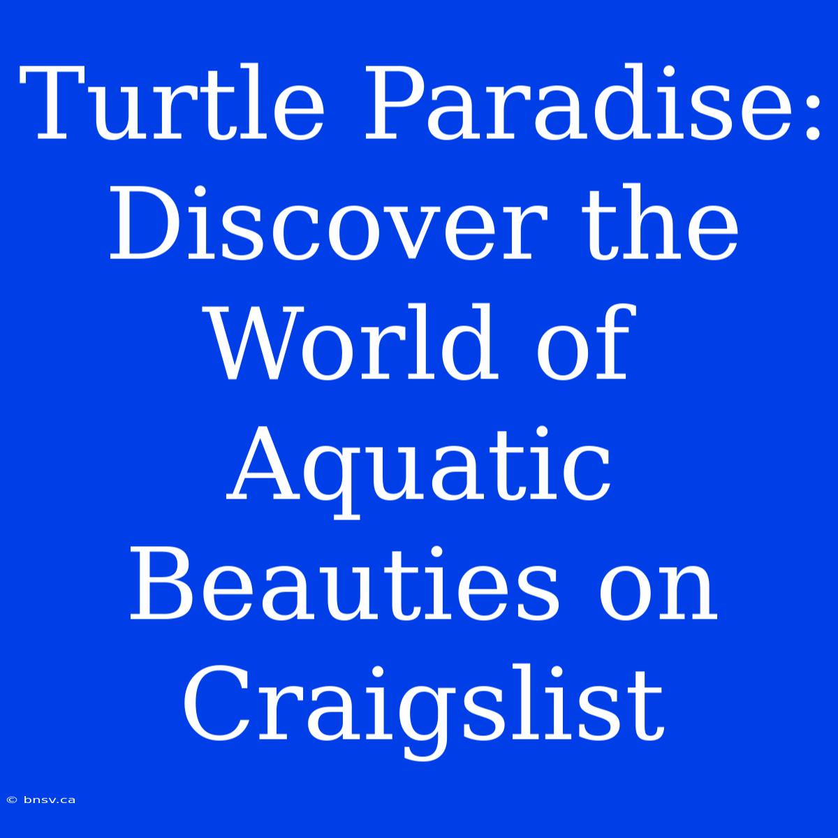 Turtle Paradise: Discover The World Of Aquatic Beauties On Craigslist