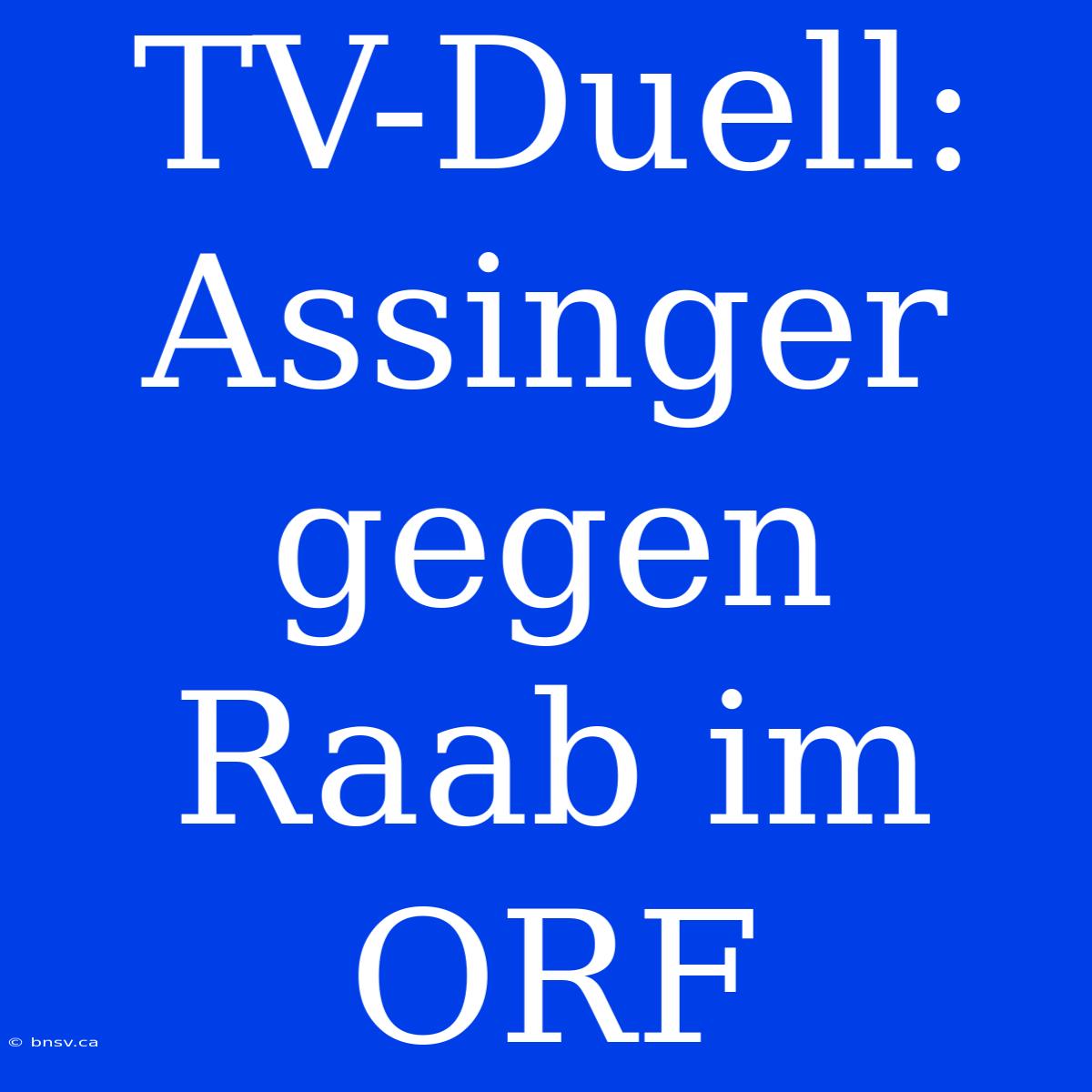 TV-Duell: Assinger Gegen Raab Im ORF