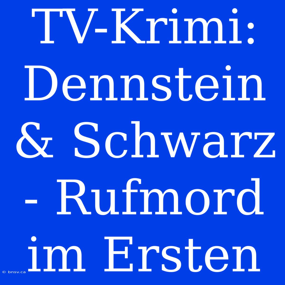 TV-Krimi: Dennstein & Schwarz - Rufmord Im Ersten