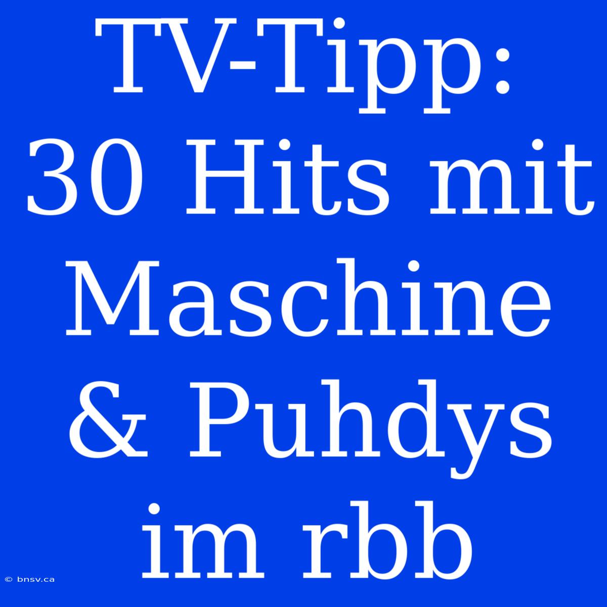 TV-Tipp: 30 Hits Mit Maschine & Puhdys Im Rbb