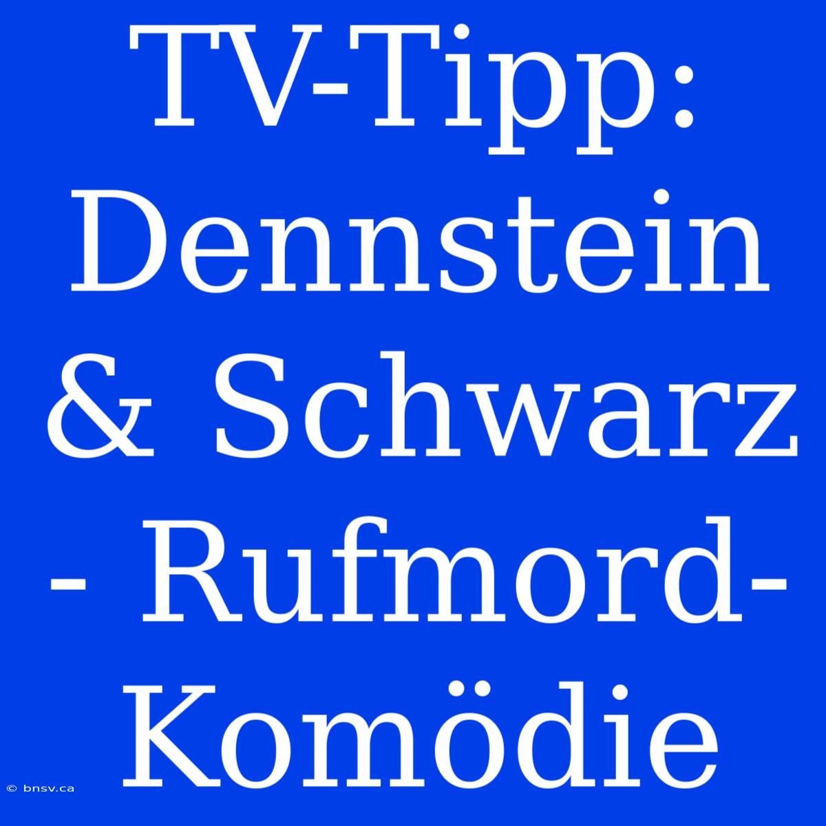 TV-Tipp: Dennstein & Schwarz - Rufmord-Komödie