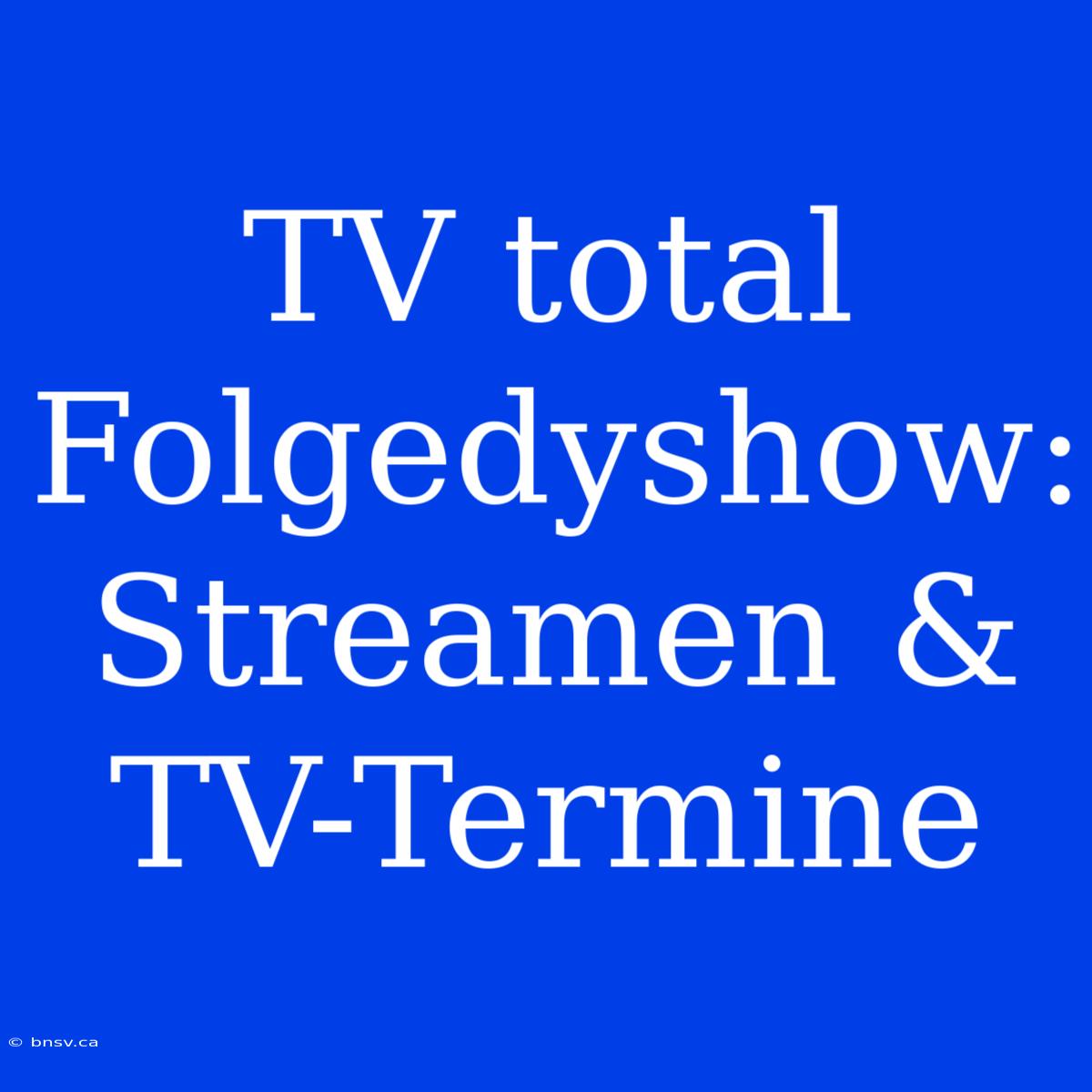 TV Total Folgedyshow: Streamen & TV-Termine