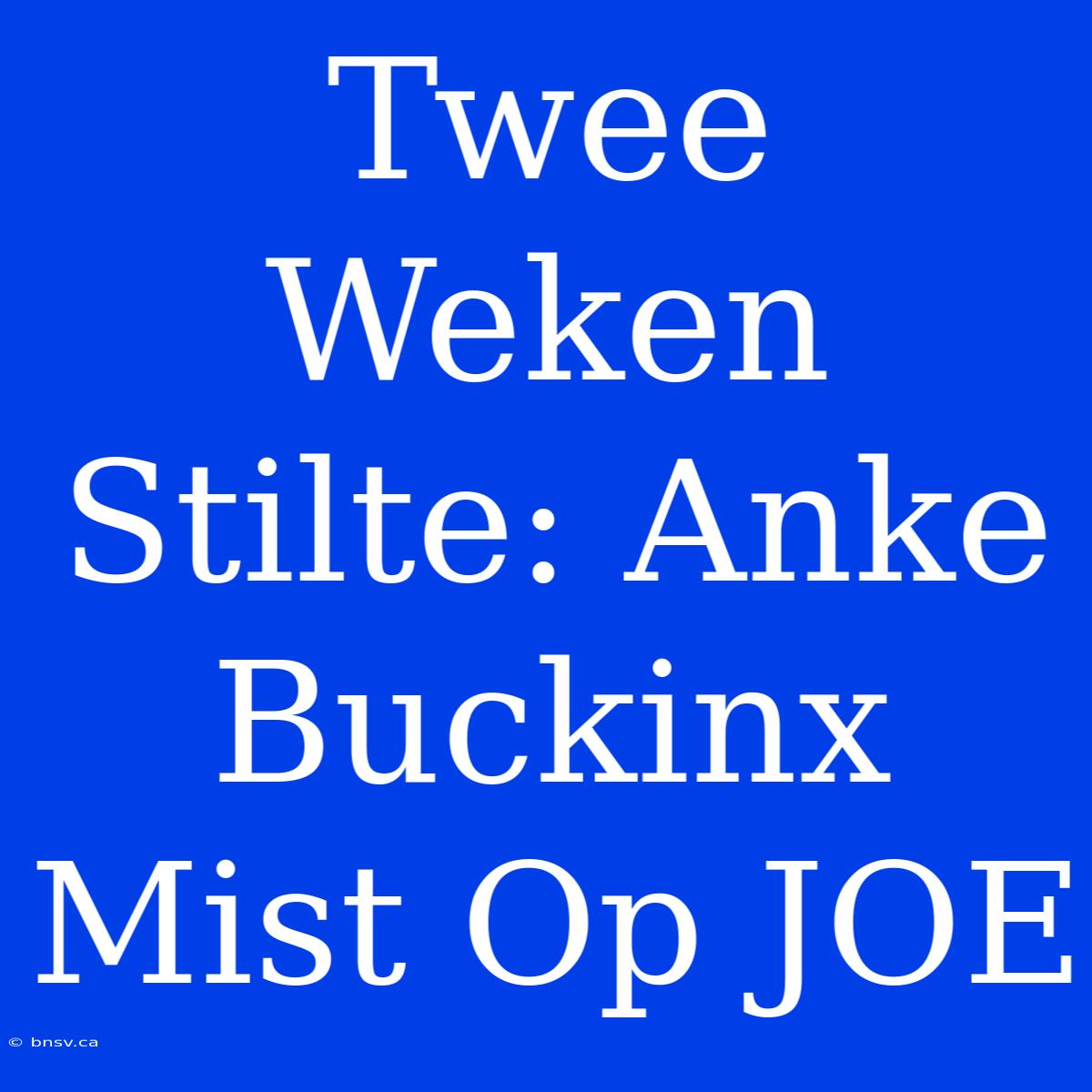 Twee Weken Stilte: Anke Buckinx Mist Op JOE