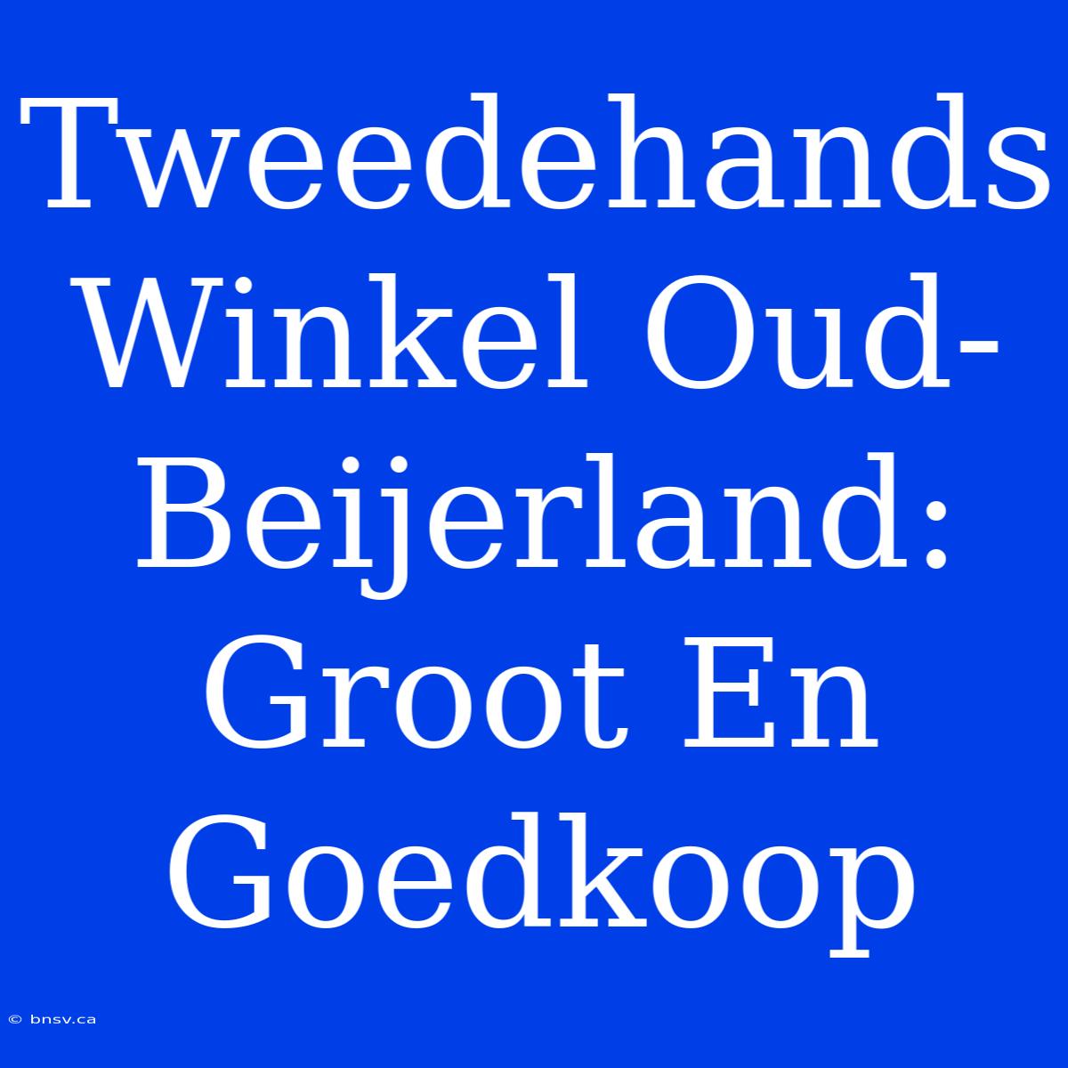 Tweedehands Winkel Oud-Beijerland: Groot En Goedkoop