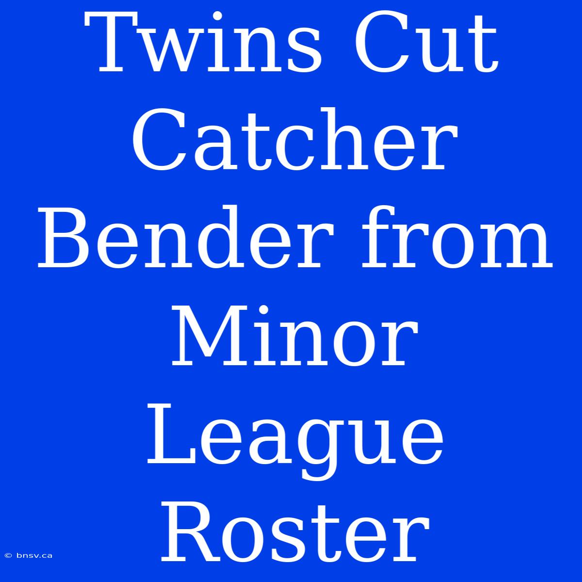 Twins Cut Catcher Bender From Minor League Roster