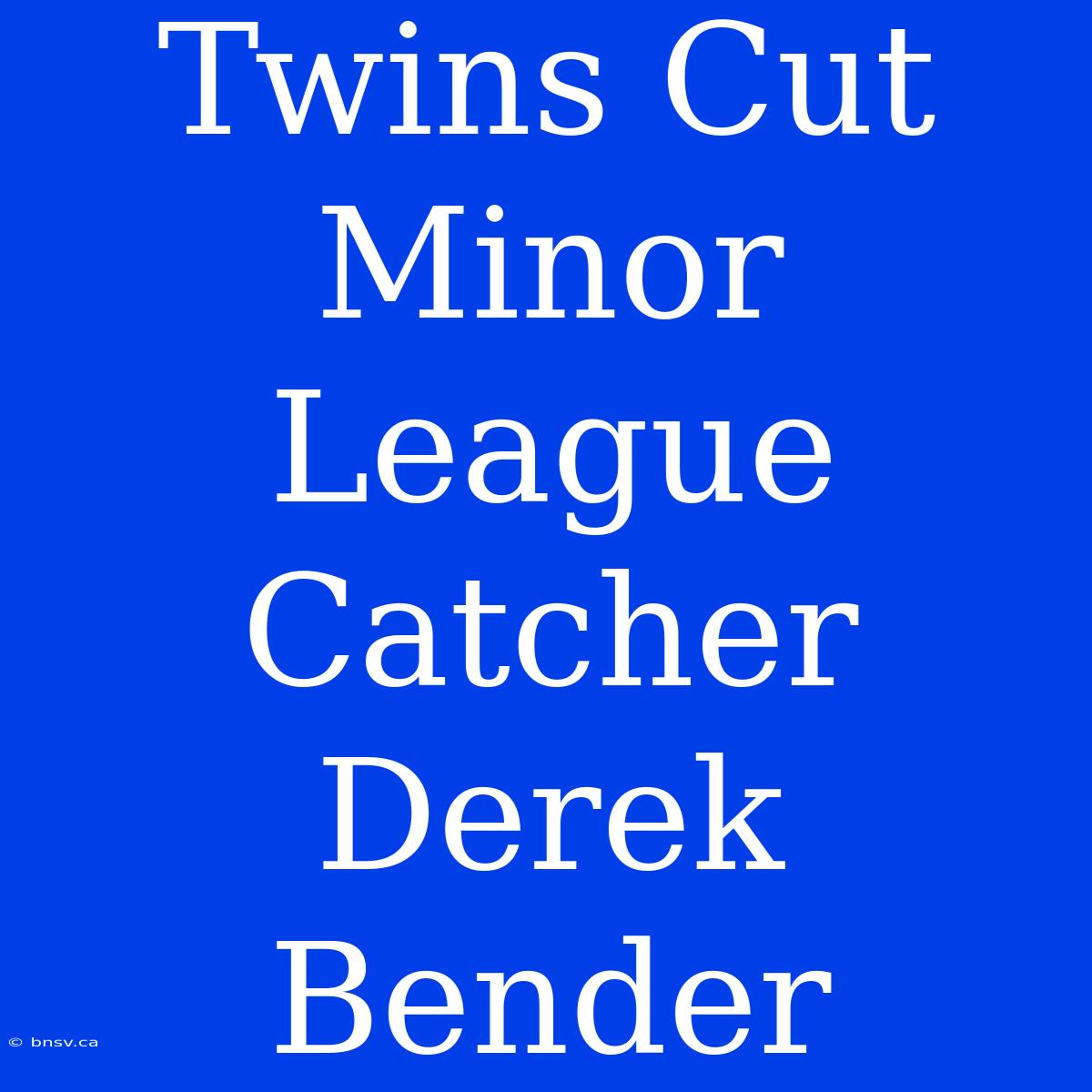 Twins Cut Minor League Catcher Derek Bender