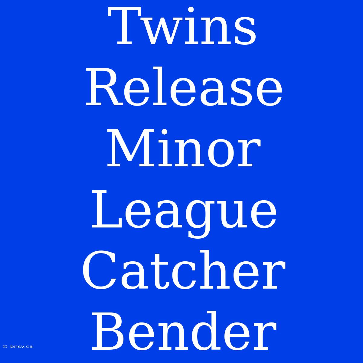 Twins Release Minor League Catcher Bender