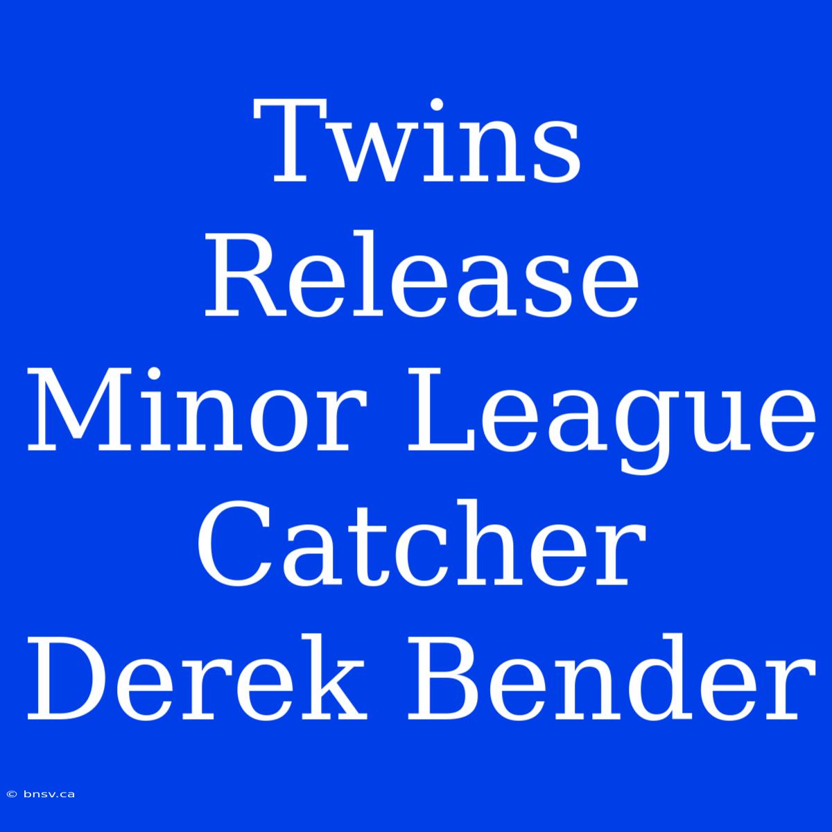 Twins Release Minor League Catcher Derek Bender