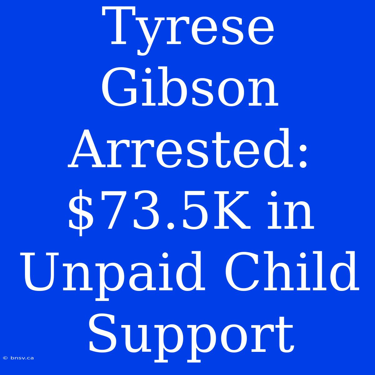 Tyrese Gibson Arrested: $73.5K In Unpaid Child Support