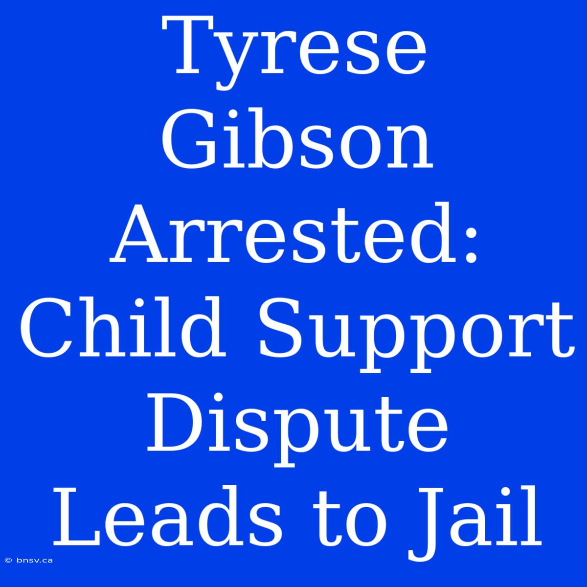 Tyrese Gibson Arrested: Child Support Dispute Leads To Jail