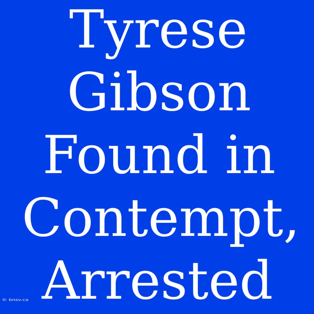 Tyrese Gibson Found In Contempt, Arrested