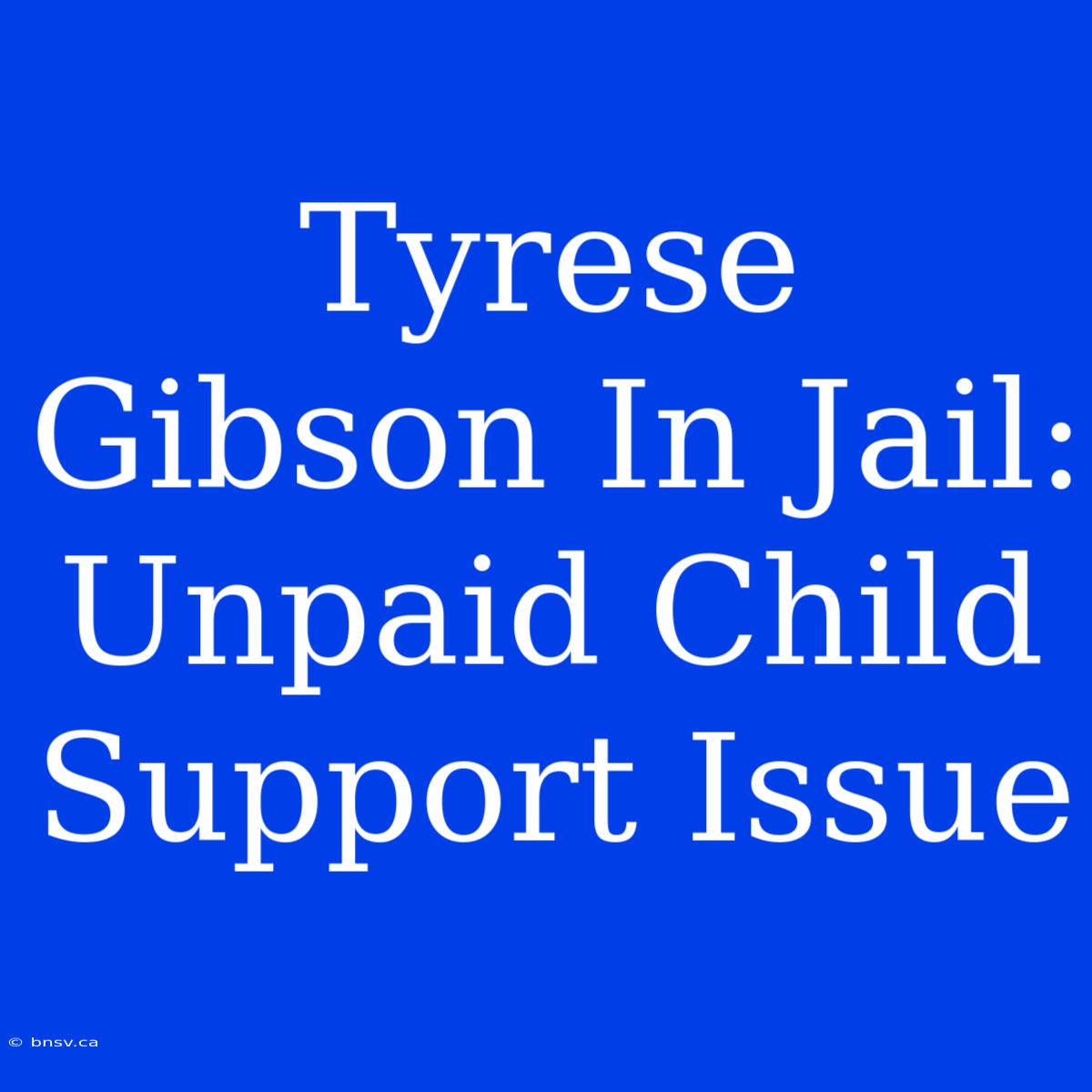 Tyrese Gibson In Jail: Unpaid Child Support Issue