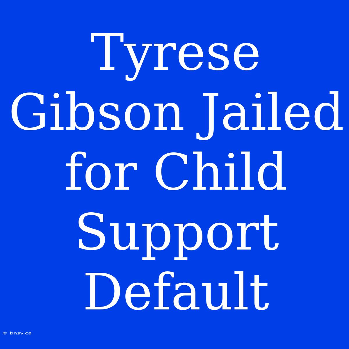 Tyrese Gibson Jailed For Child Support Default