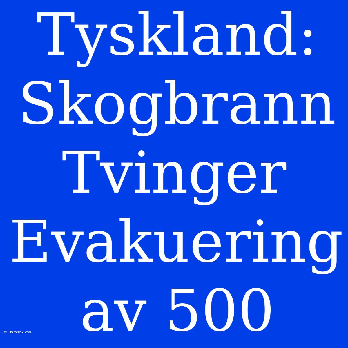 Tyskland: Skogbrann Tvinger Evakuering Av 500