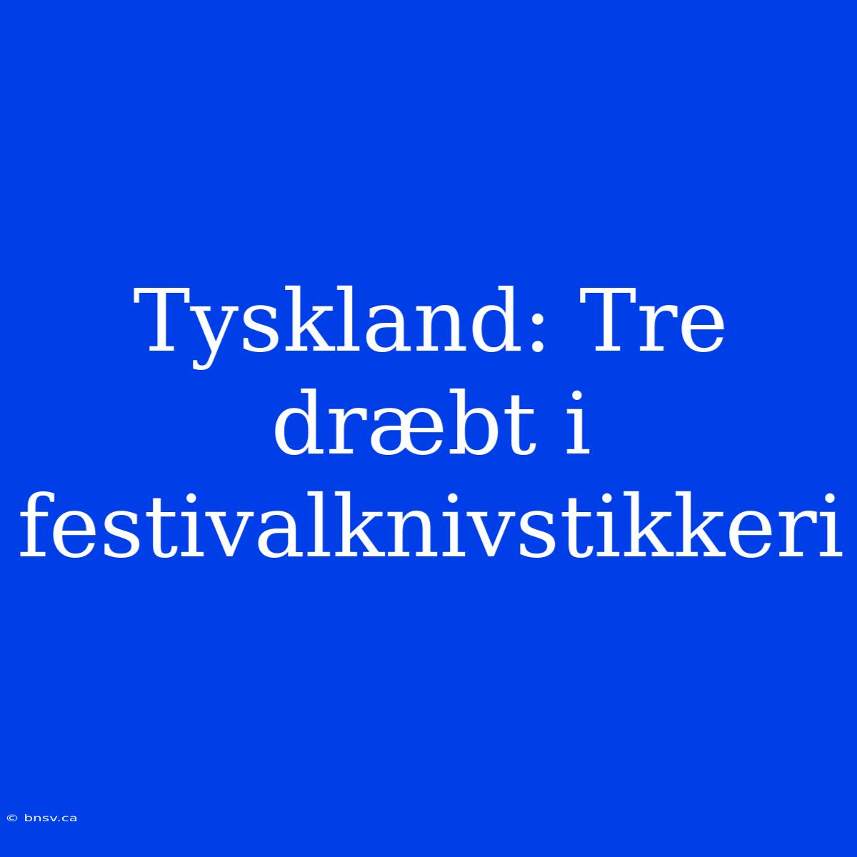 Tyskland: Tre Dræbt I Festivalknivstikkeri