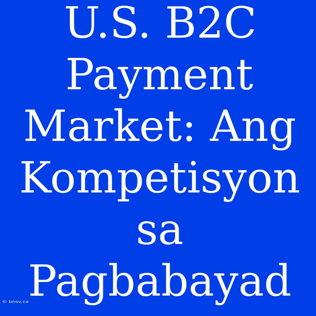 U.S. B2C Payment Market: Ang Kompetisyon Sa Pagbabayad