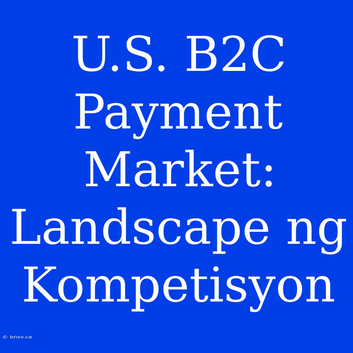 U.S. B2C Payment Market: Landscape Ng Kompetisyon