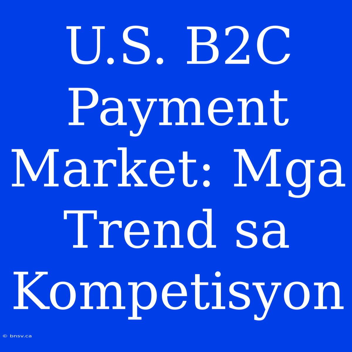 U.S. B2C Payment Market: Mga Trend Sa Kompetisyon