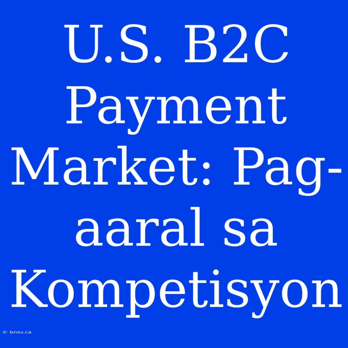 U.S. B2C Payment Market: Pag-aaral Sa Kompetisyon