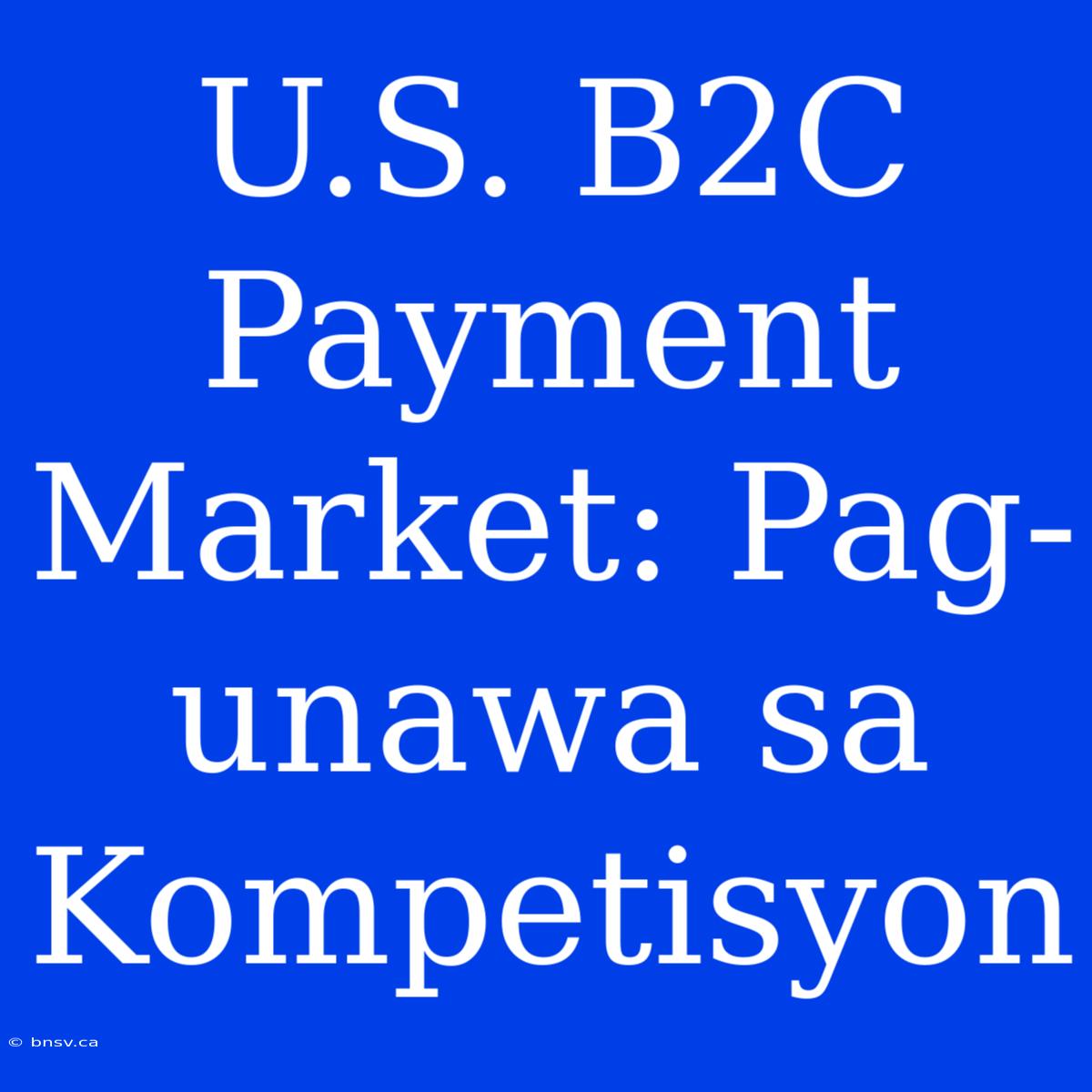 U.S. B2C Payment Market: Pag-unawa Sa Kompetisyon