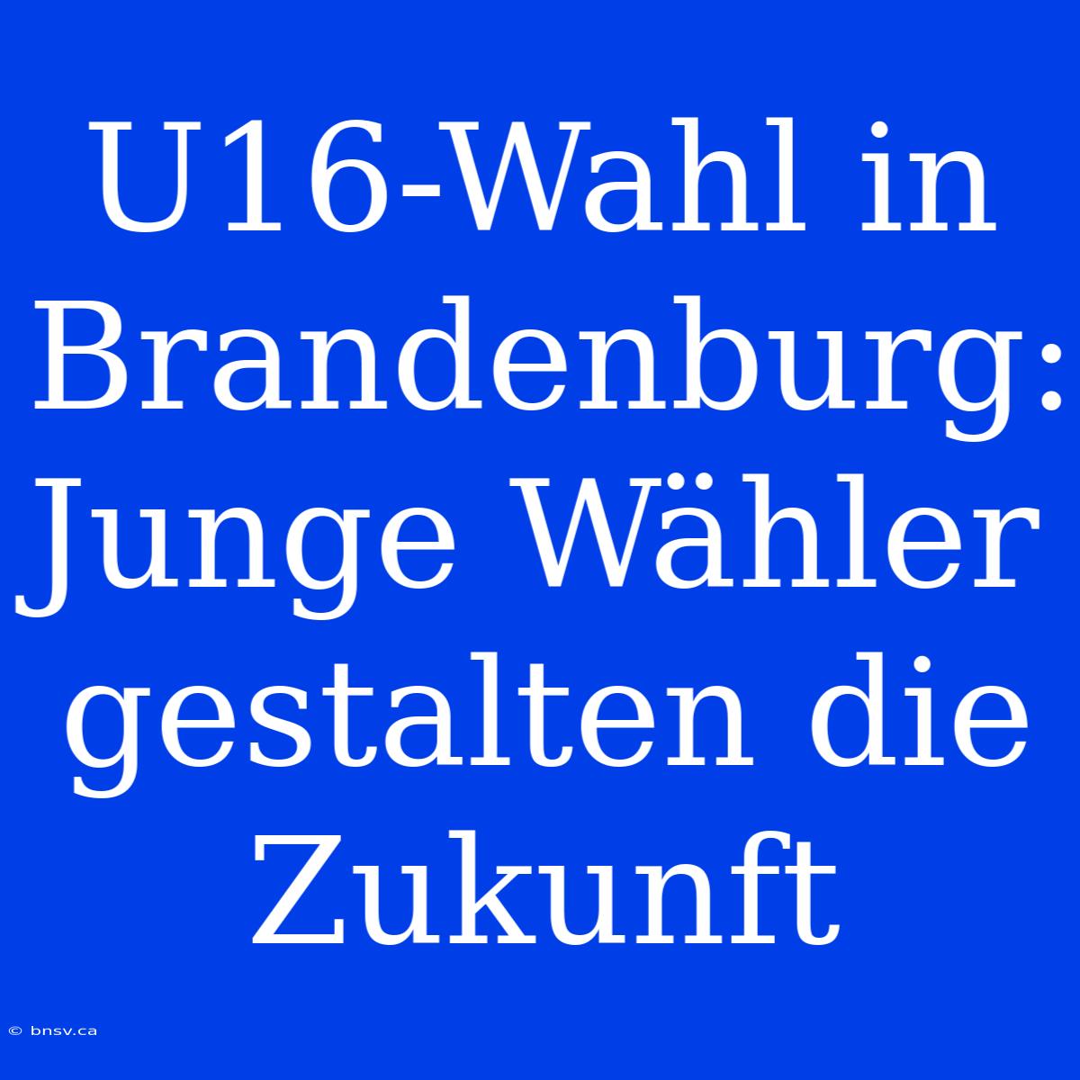 U16-Wahl In Brandenburg: Junge Wähler Gestalten Die Zukunft