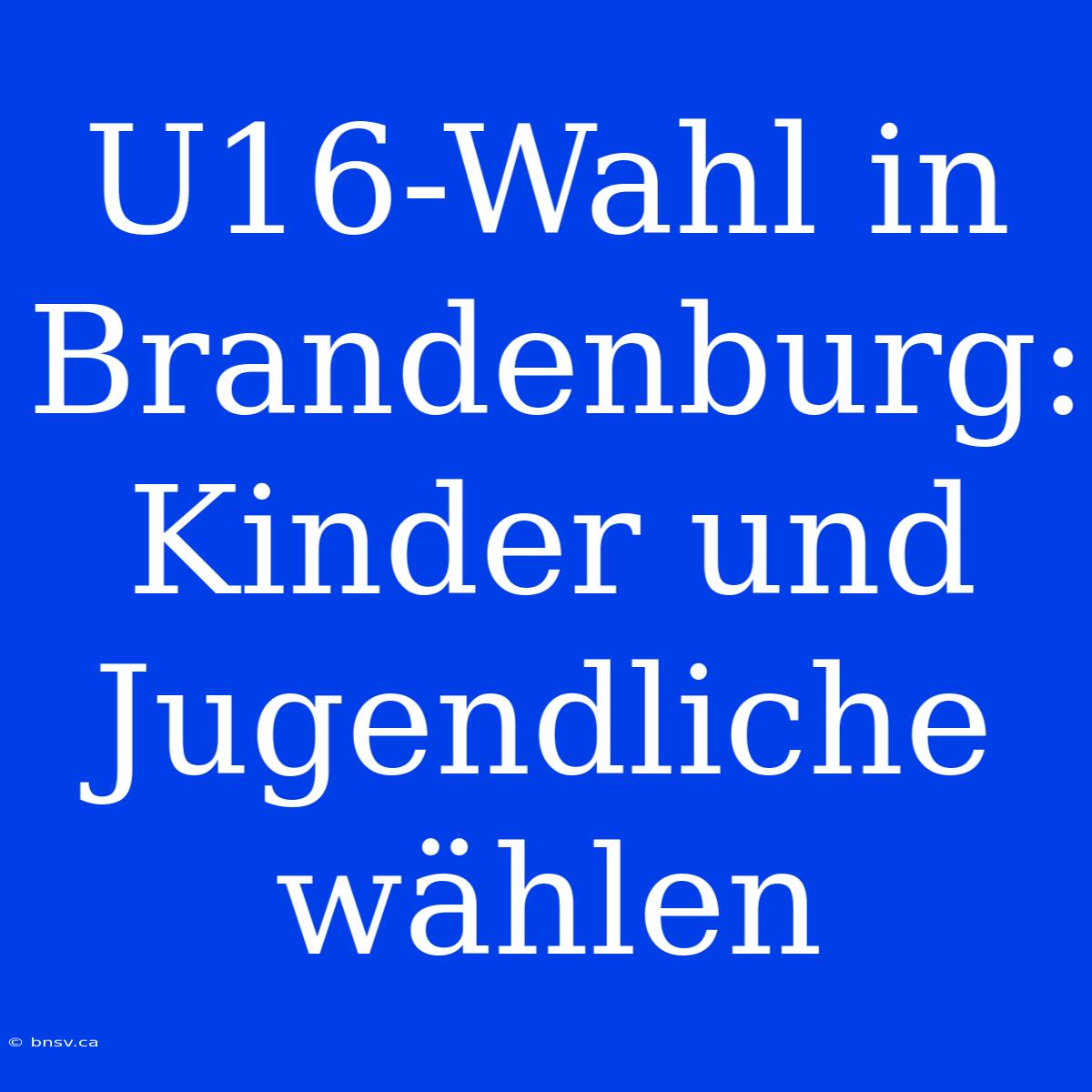 U16-Wahl In Brandenburg: Kinder Und Jugendliche Wählen