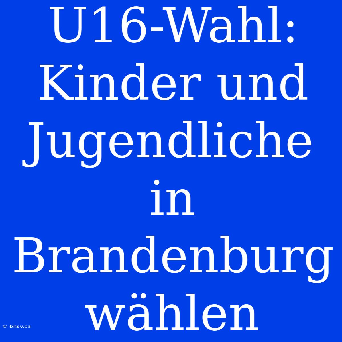 U16-Wahl: Kinder Und Jugendliche In Brandenburg Wählen