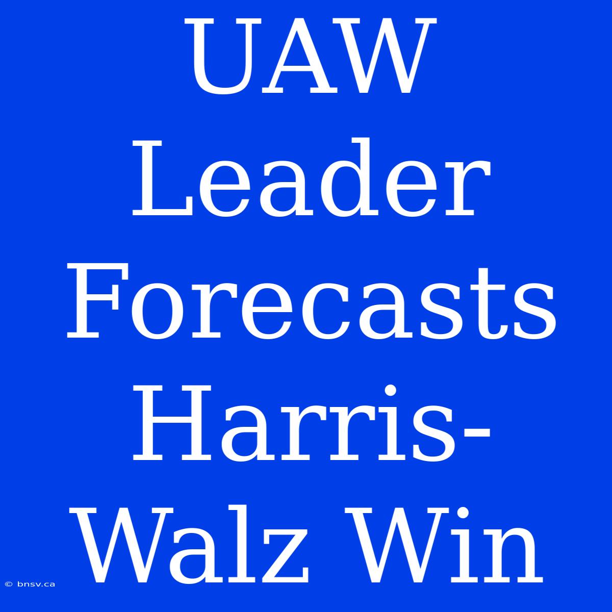 UAW Leader Forecasts Harris-Walz Win