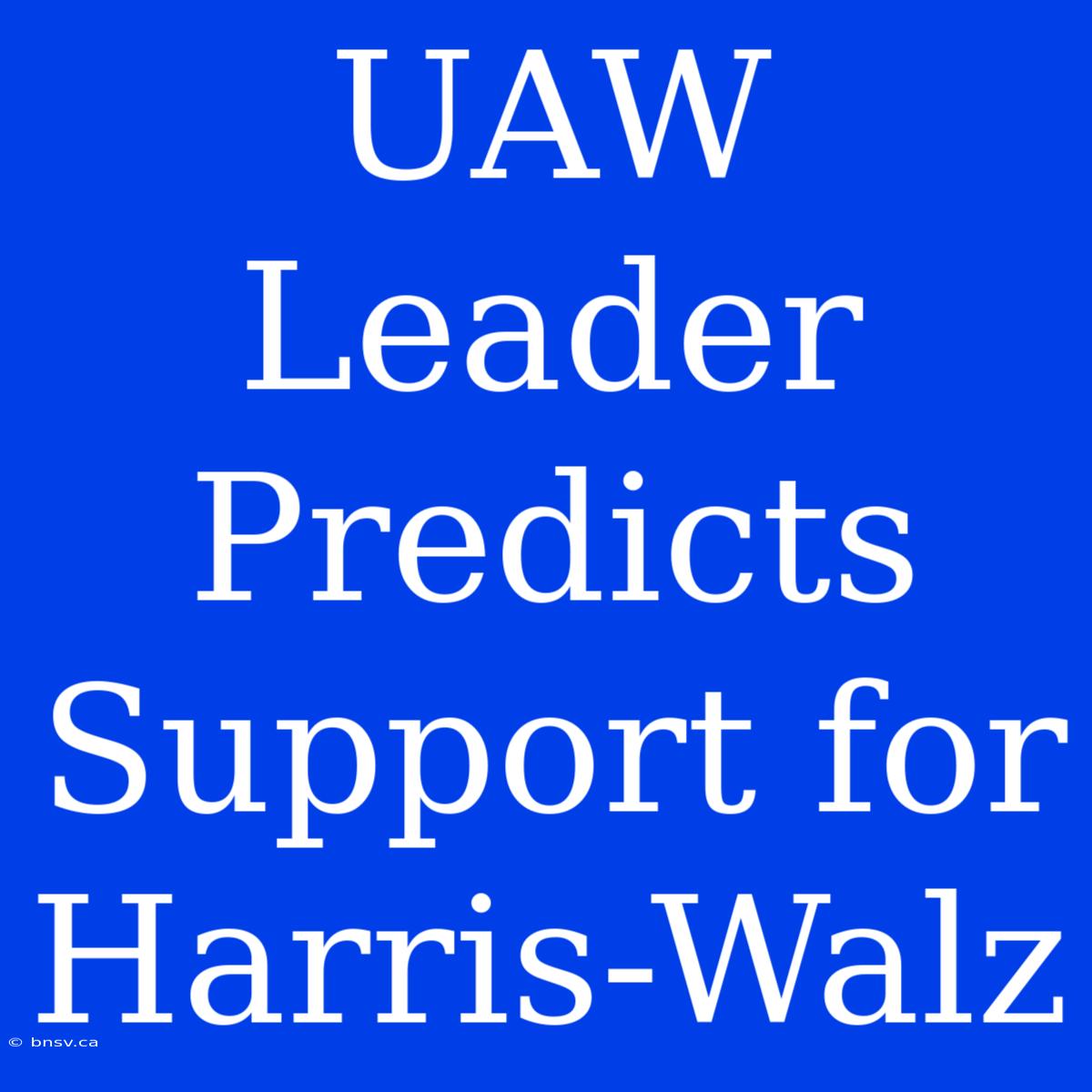 UAW Leader Predicts Support For Harris-Walz