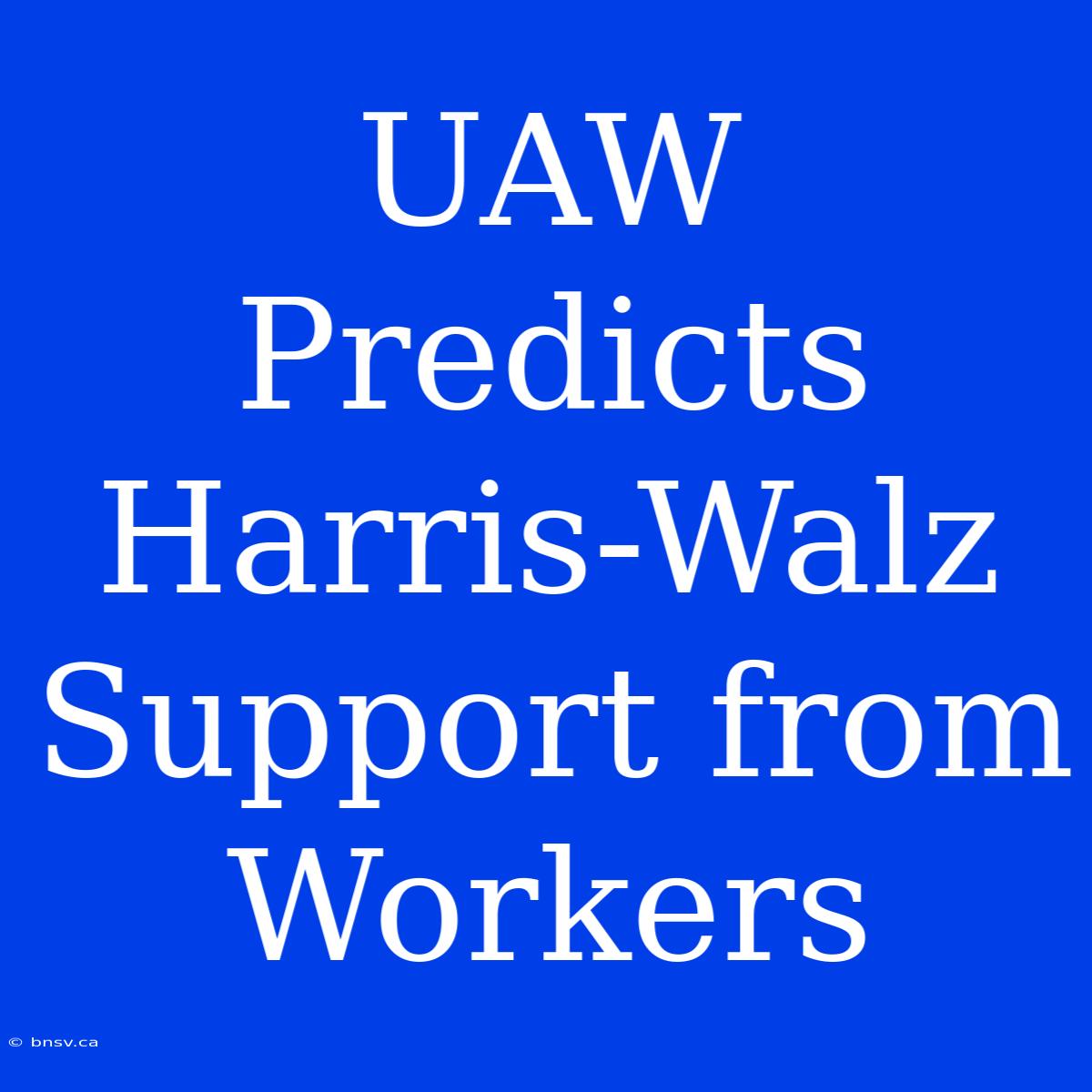 UAW Predicts Harris-Walz Support From Workers