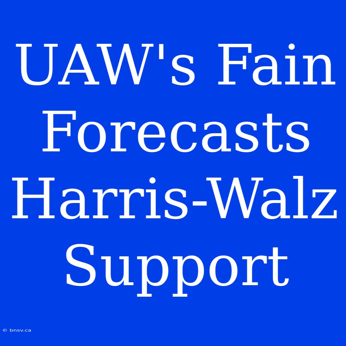 UAW's Fain Forecasts Harris-Walz Support