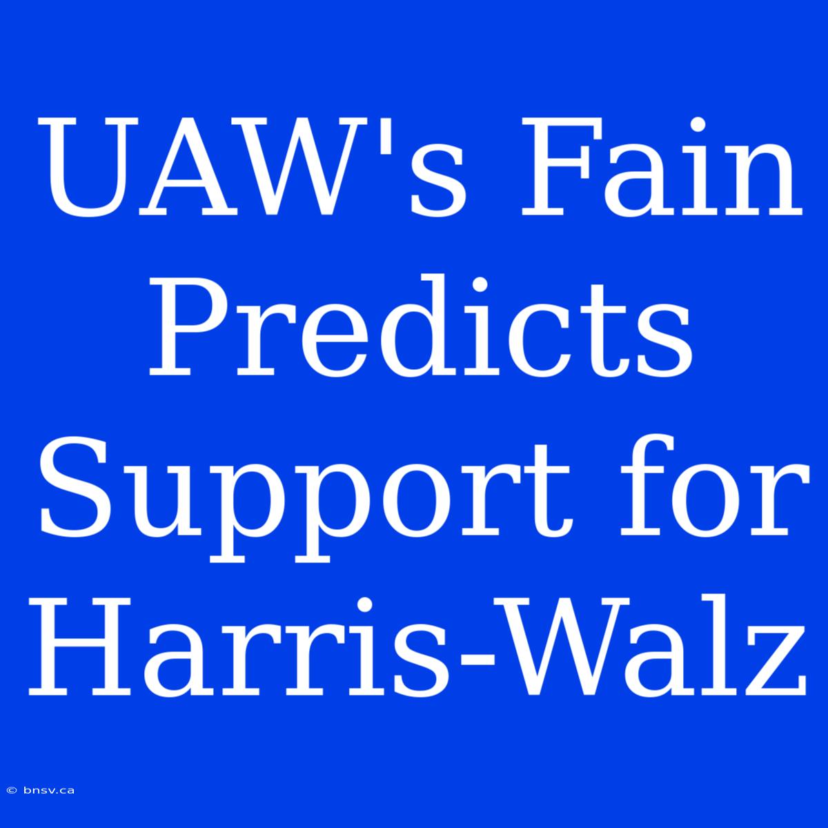 UAW's Fain Predicts Support For Harris-Walz