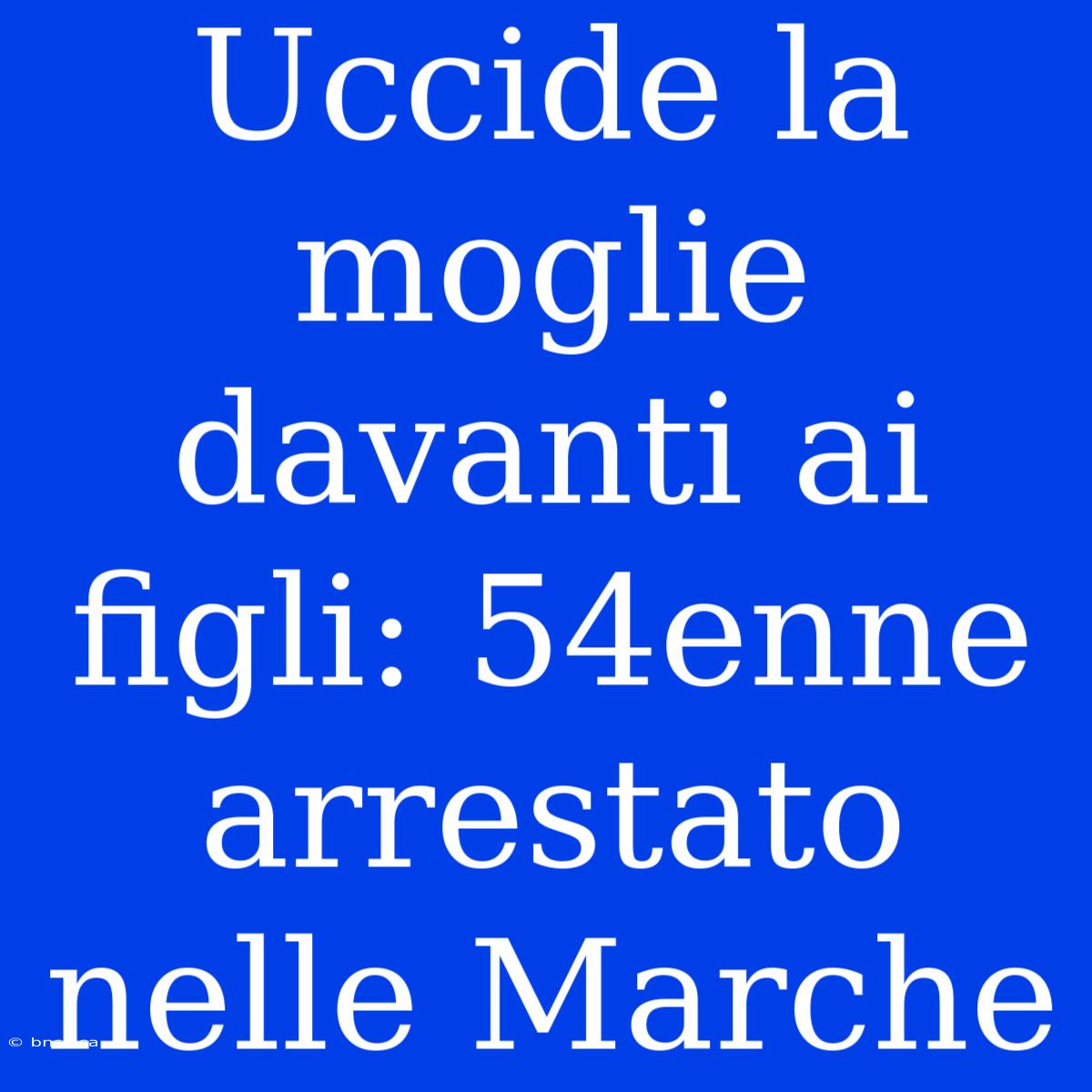 Uccide La Moglie Davanti Ai Figli: 54enne Arrestato Nelle Marche