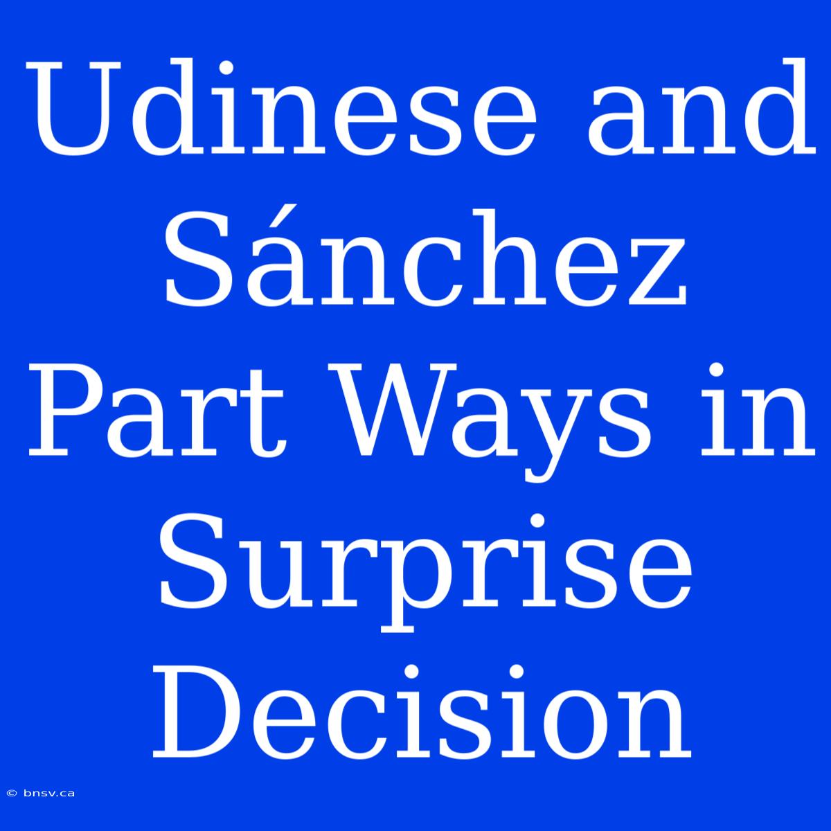 Udinese And Sánchez Part Ways In Surprise Decision