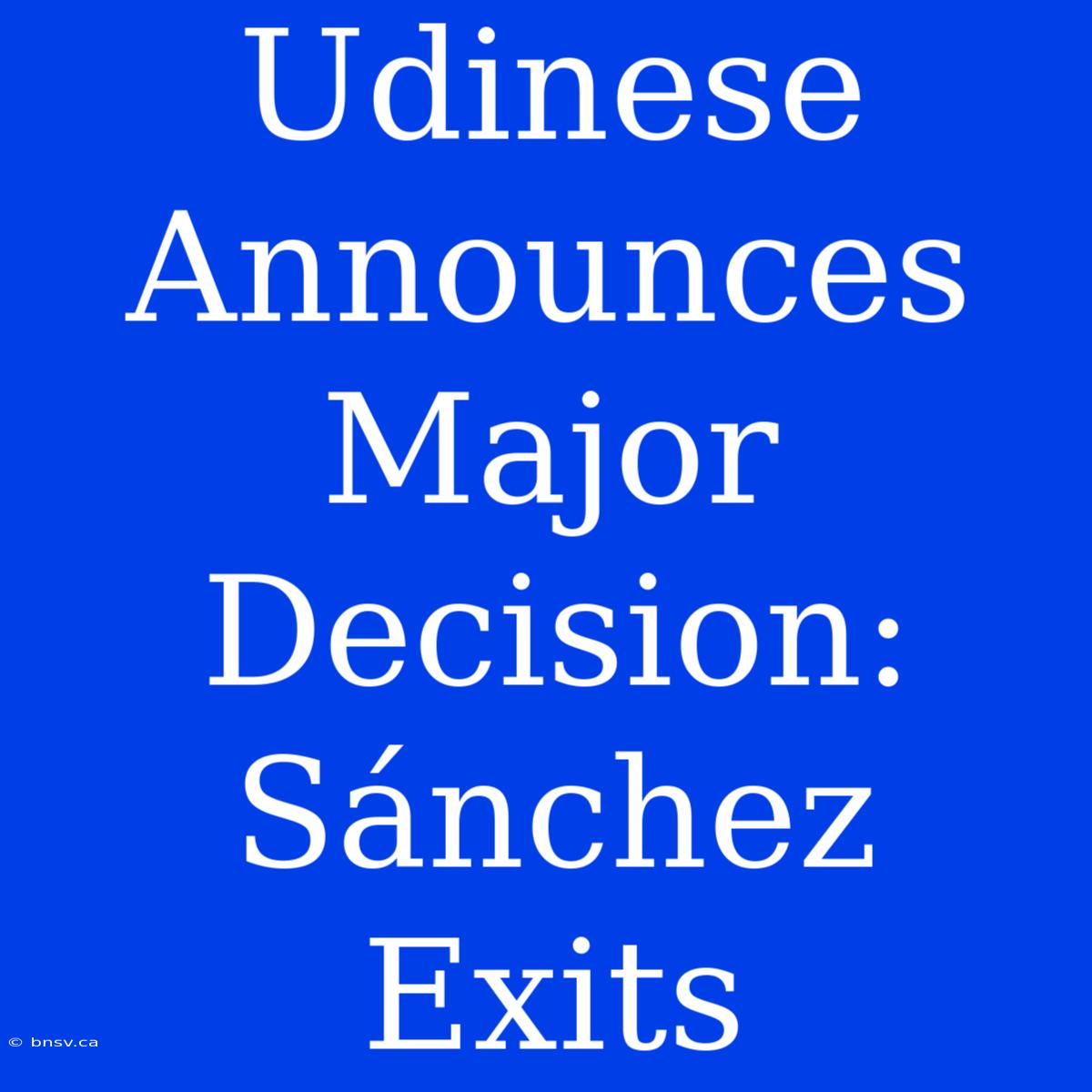 Udinese Announces Major Decision:  Sánchez Exits