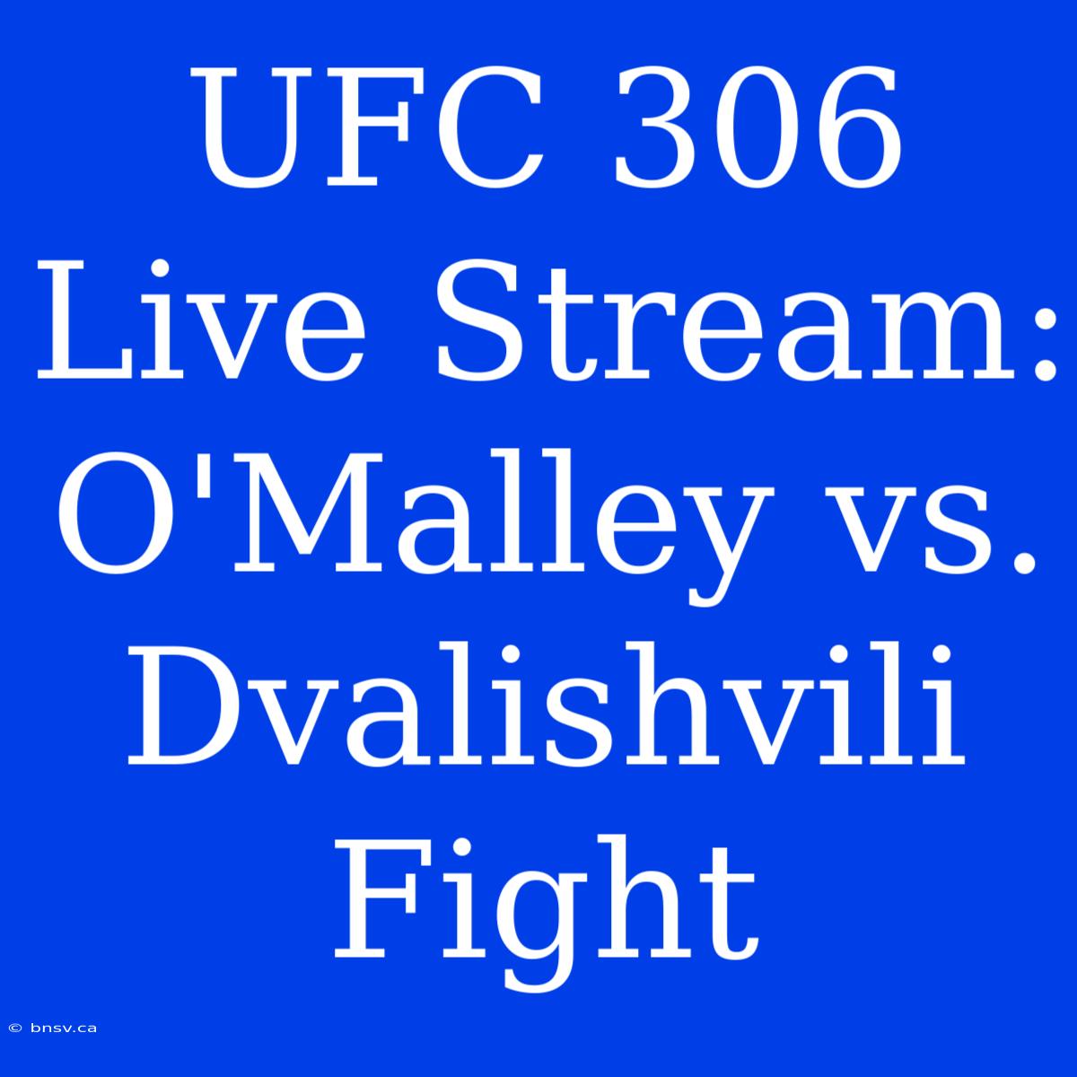 UFC 306 Live Stream: O'Malley Vs. Dvalishvili Fight