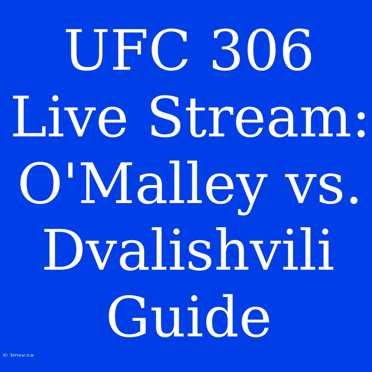 UFC 306 Live Stream: O'Malley Vs. Dvalishvili Guide