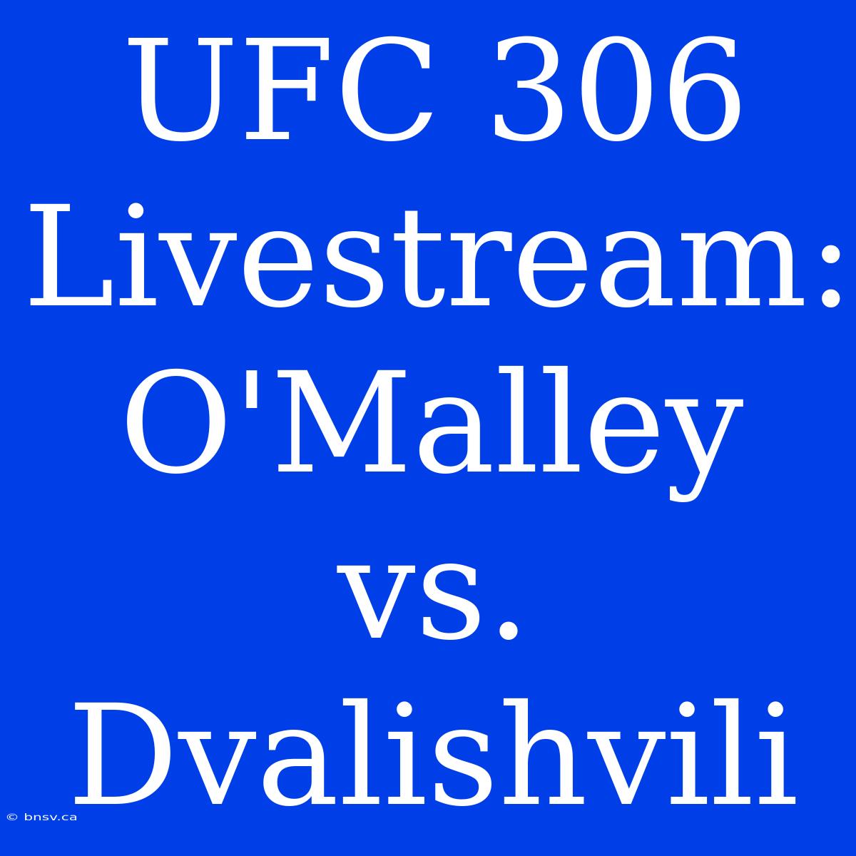 UFC 306 Livestream: O'Malley Vs. Dvalishvili