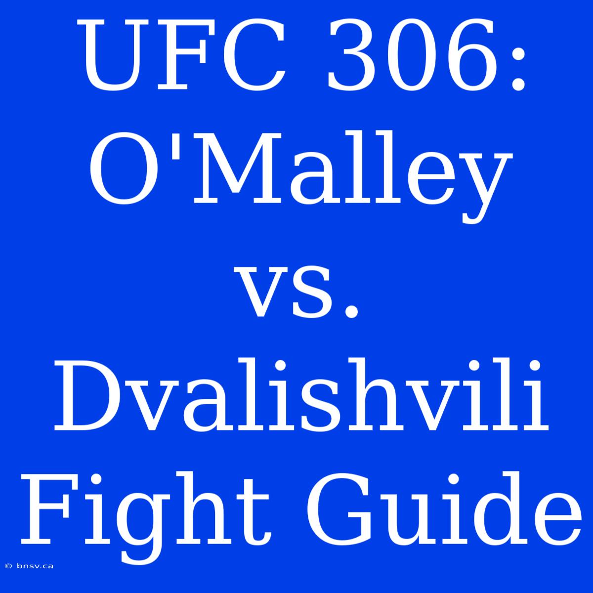 UFC 306: O'Malley Vs. Dvalishvili Fight Guide